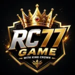 RC77 Game