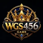 WGS456 Game